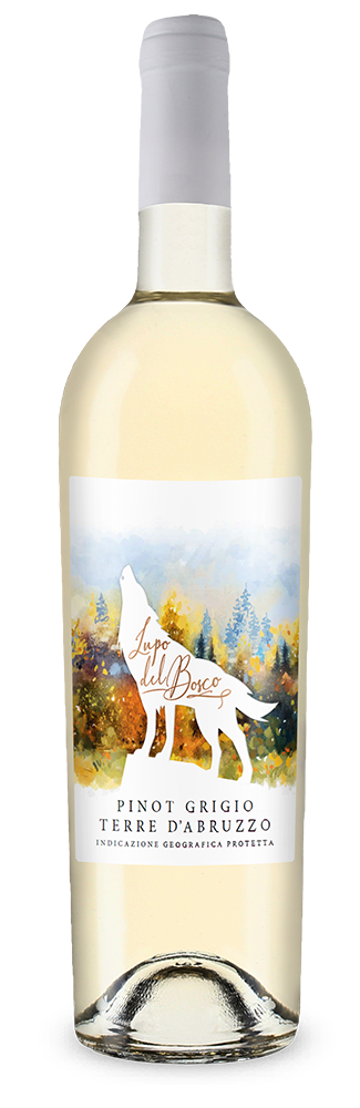 Lupo del Bosco Pinot Grigio 2024