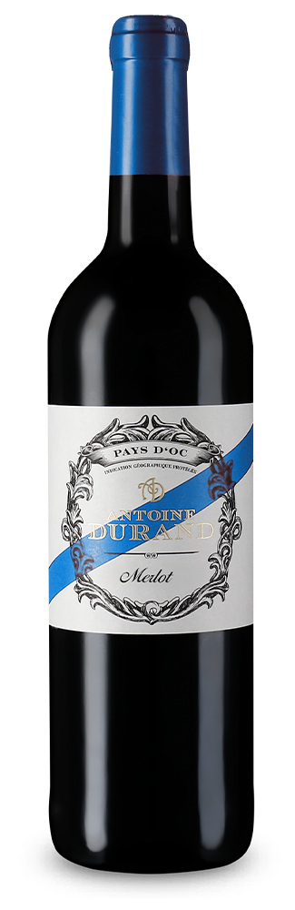 Merlot 2024