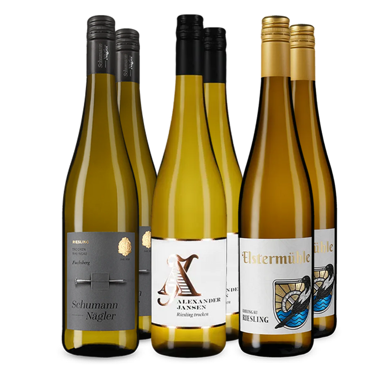 Riesling im Entdeckerpaket