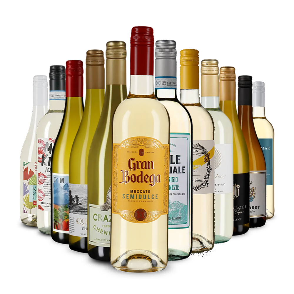 Die Weisswein-Vielfalt im Kennenlernpaket