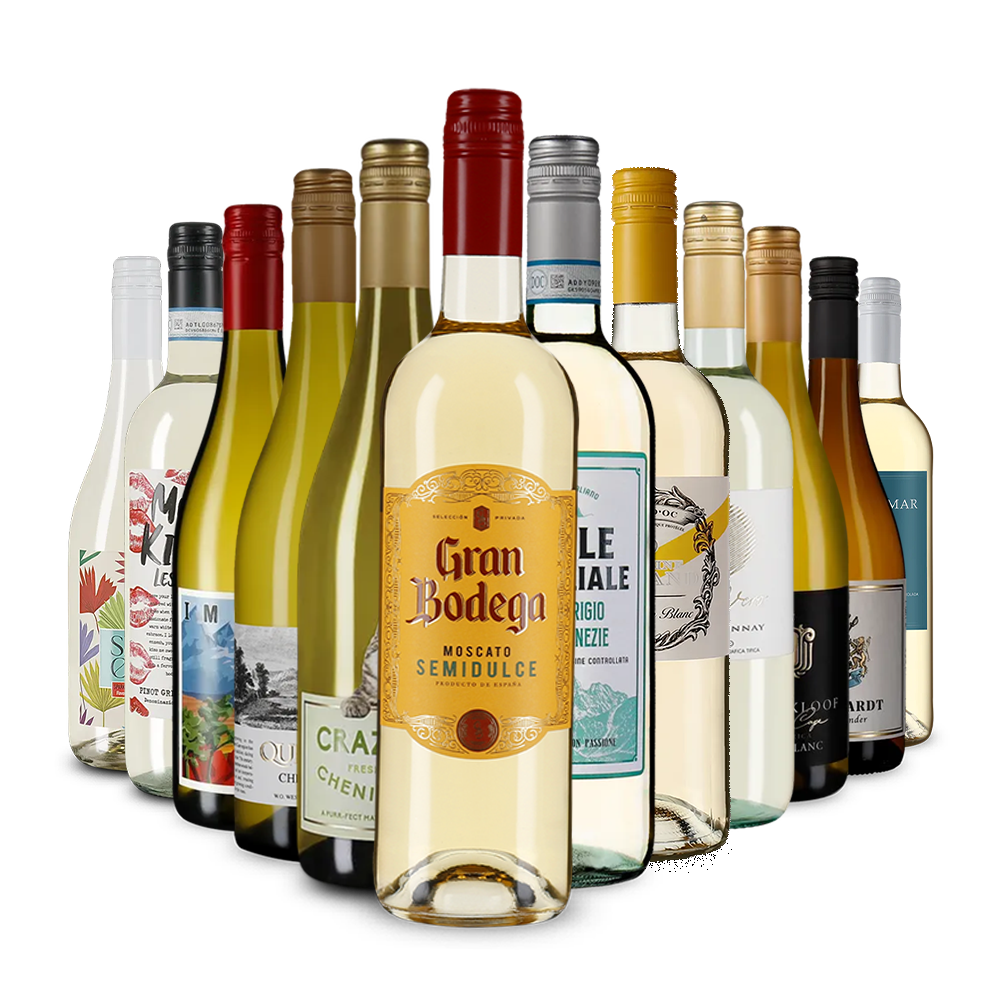 Die Weisswein-Vielfalt im Kennenlernpaket