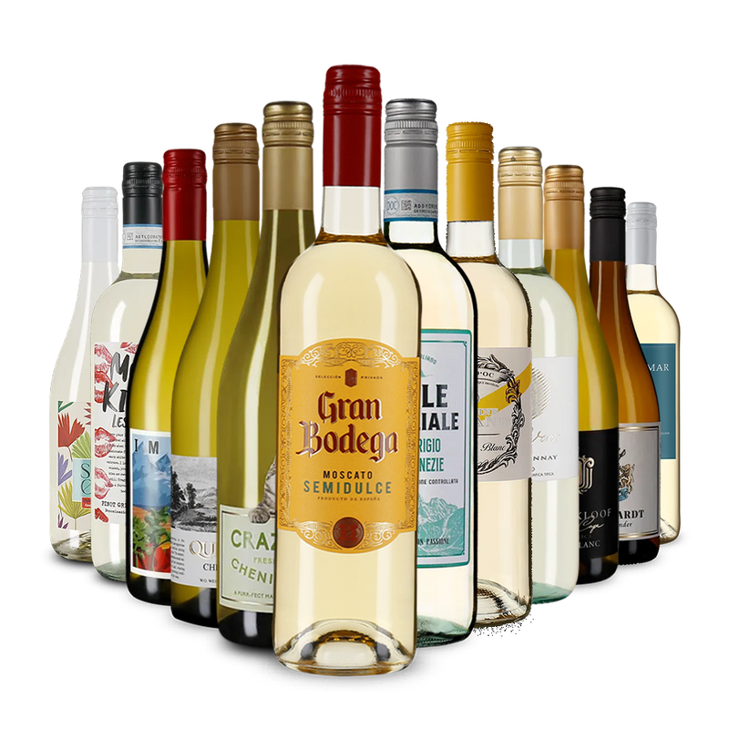 Die Weisswein-Vielfalt im Kennenlernpaket