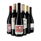 Rotwein international: das Goldsieger-Paket