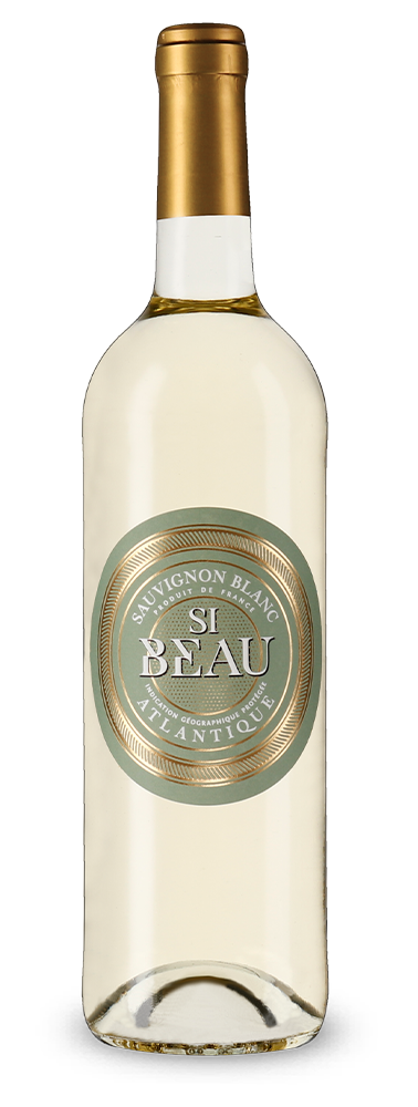 Si Beau Sauvignon Blanc 2022