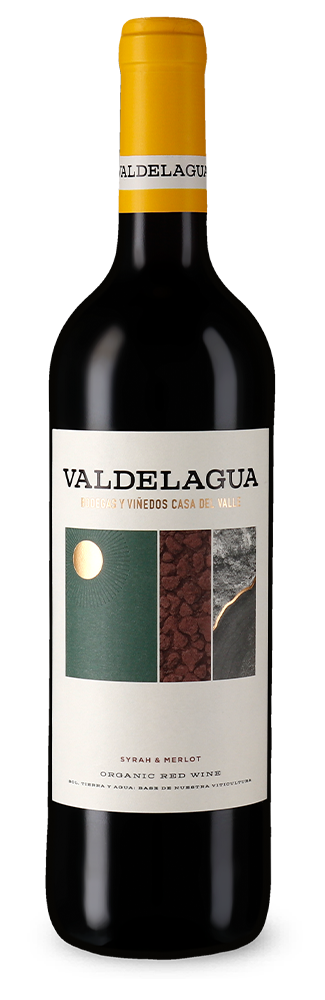 Casa del Valle Valdelagua Syrah & Merlot Bio 2022