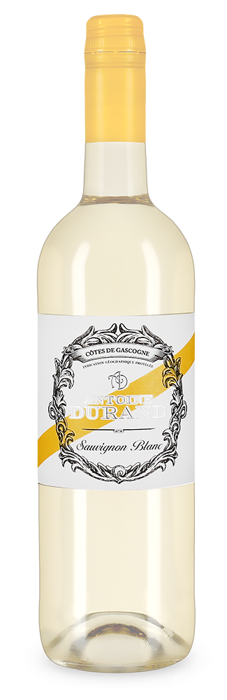 Antoine Durand Sauvignon Blanc 2023